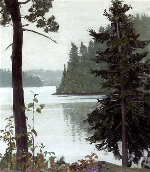 Wilson Lake, Temagami - view 1