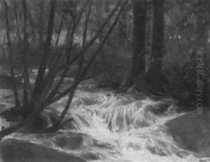 Rapids Rapids