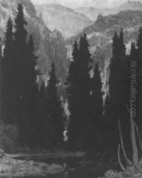 Black Spruce, Algoma Valley - view 1