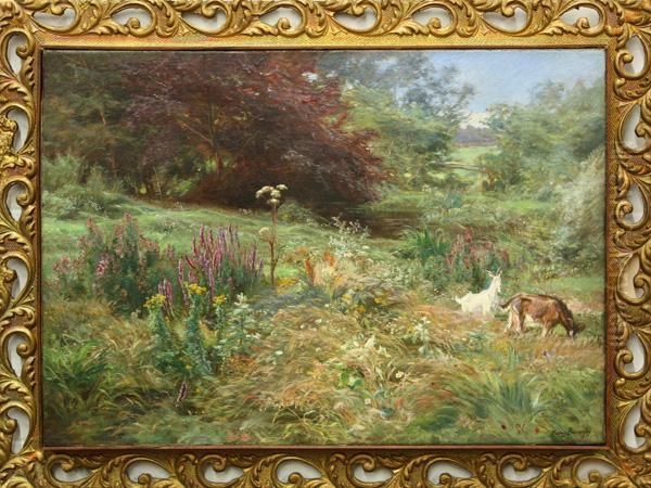 Goats Grazing In A Field - view 1