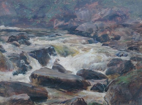 In Glen Affric - view 1