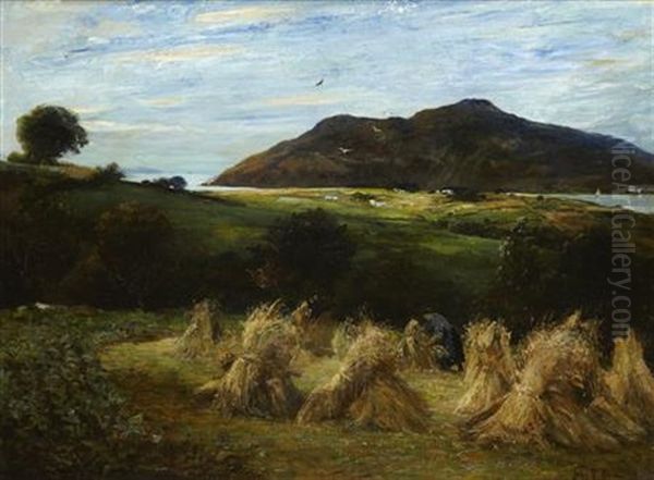 Harvesting Near Glen Ashdale, Arran - view 1