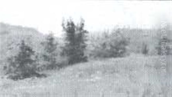 Summer Landscape - view 1