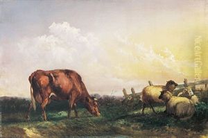 Weidelandschaft Mit Kuh Und Schafen Neben Gatter. Prachtvolle Morgendliche Beleuchtung