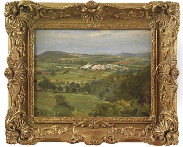 An Extensive Landscape - view 1