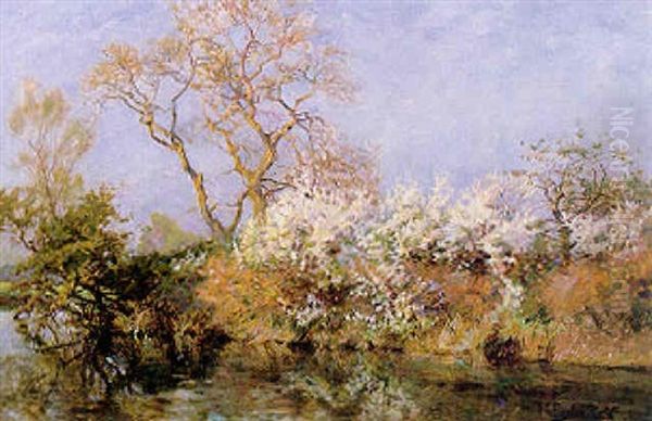 The Riverbank In Spring - view 1