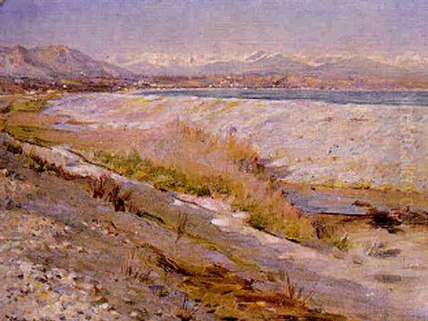 Antibes And The Alpes Maritimes - view 1