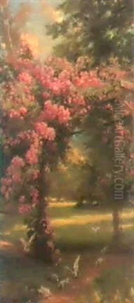 Roses - view 1