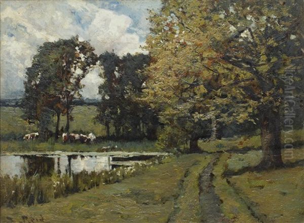 Cattle Grazing By A Woodland Pool - view 1