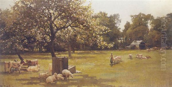 A Farm In Spring - view 1