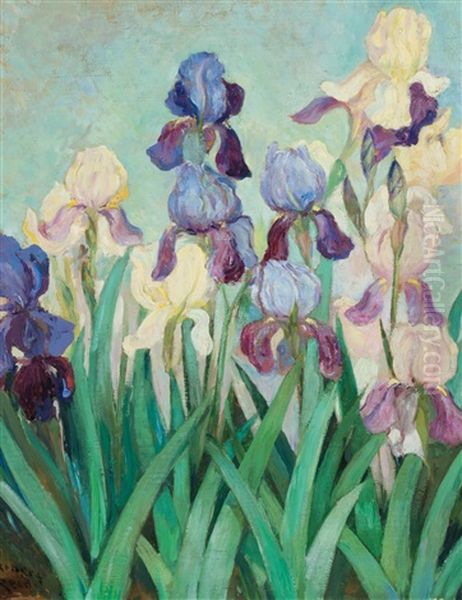 Irises - view 1