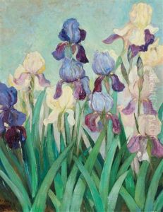Irises Irises