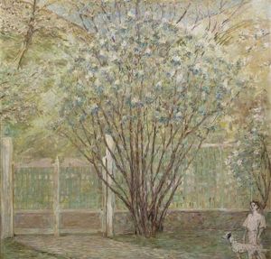 White Lilacs by Robert Reid