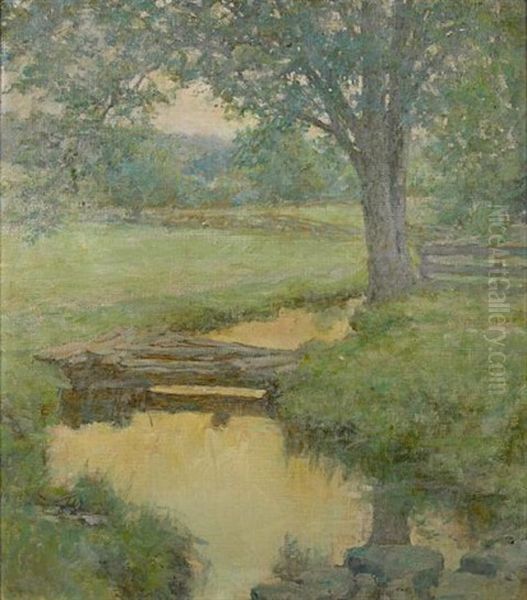 Golden Stream In The Forest - view 1