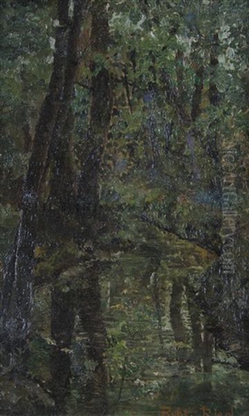 Untitled (forest Scene) - view 1