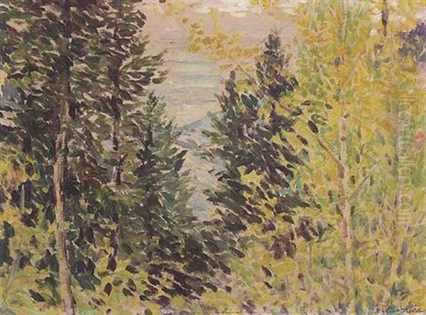 In The Woods, Above Colorado Springs - view 1