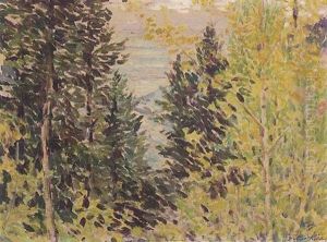 In The Woods, Above Colorado Springs by Robert Reid