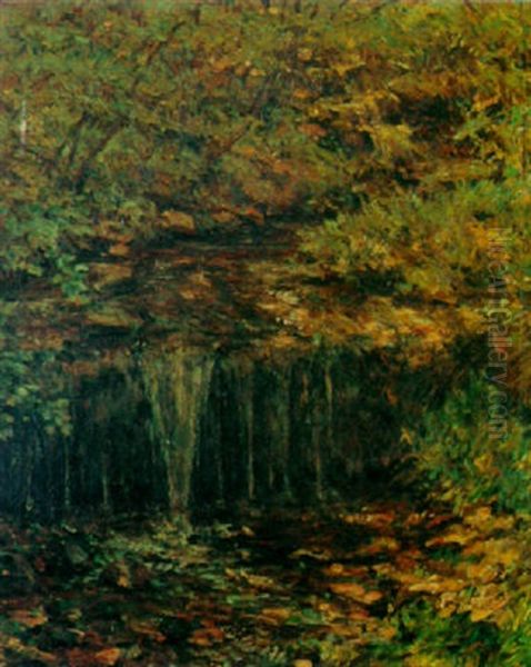 Woodland Stream - view 1