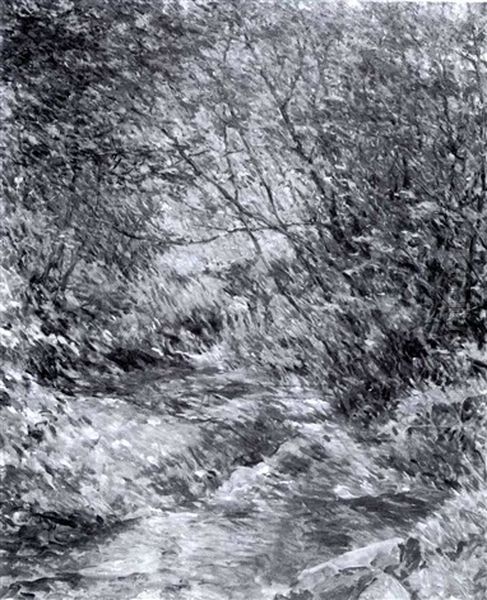 Midsummer Brook - view 1