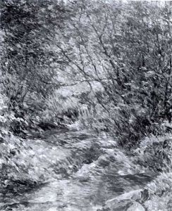 Midsummer Brook Midsummer Brook