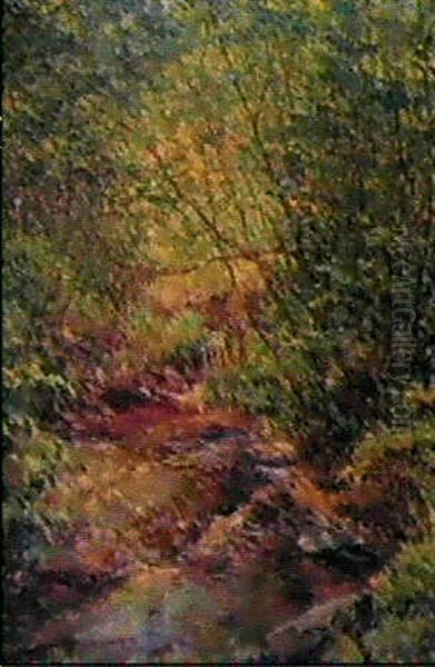Midsummer Brook - view 1