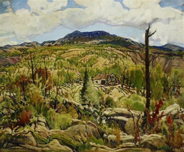 Homesteader's Ranch, Southern California - view 1