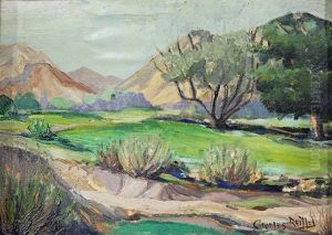 California Desert