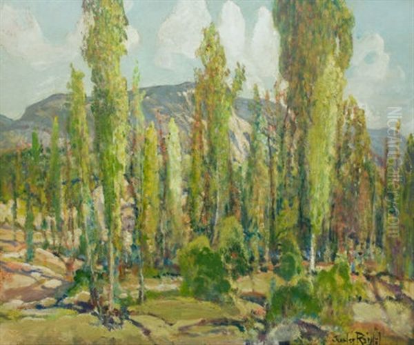 Eucalyptus Grove - view 1