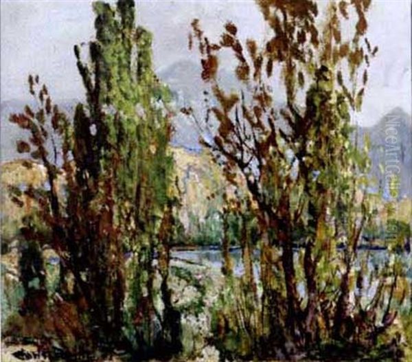 Mountain Lake (cuyamaca) - view 1
