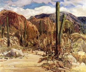 Giant Cacti, Arizona