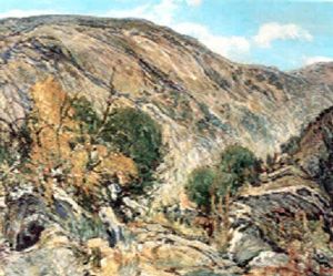 A California Hill And Brook (the Gorge)