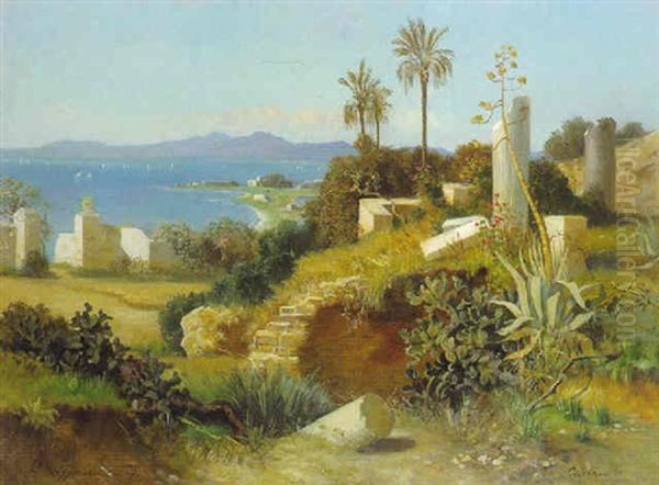 Carthago Mit Blick Auf Das Mittelmeer (nordafrika) - view 1