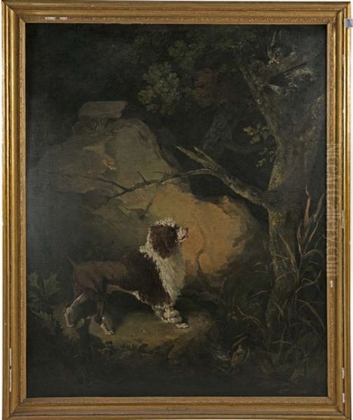 A Hunting Dog Holding A Cat At Bay In A Woodland - view 1