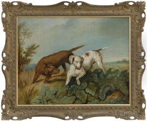 Two Hounds Hunting A Rabbit by Philipp Reinagle