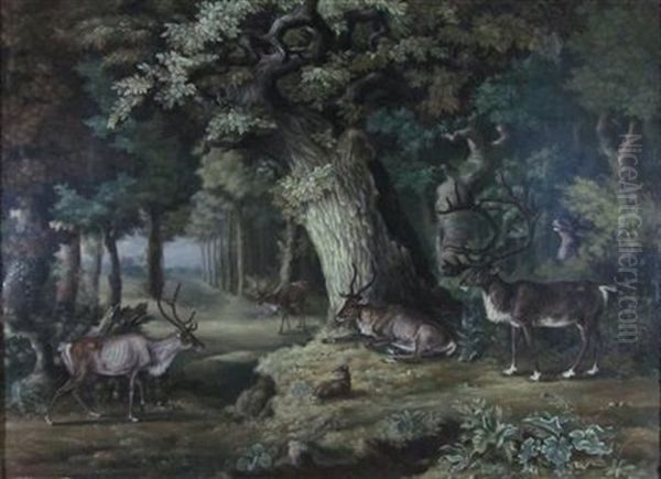 Stags In A Forest - view 1