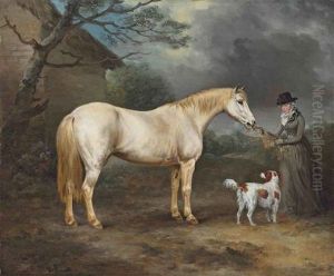 Mrs. Thomas Hawkins Of Trewithen, Cornwall With Her Connemara Pony And A Spaniel by Philipp Reinagle