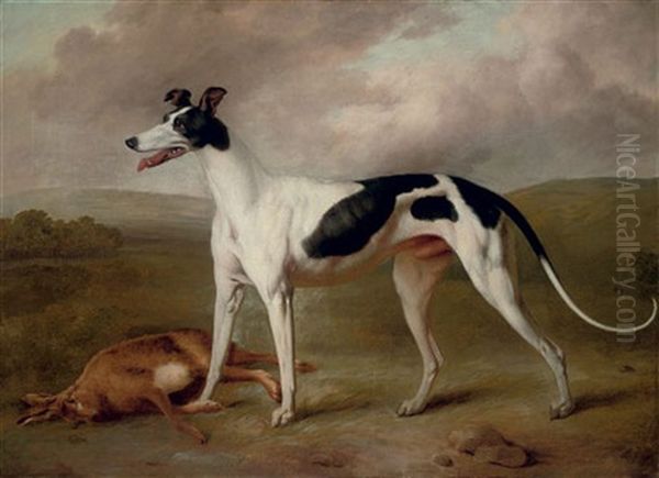 A Prize Greyhound In An Extensive Landscape - view 1