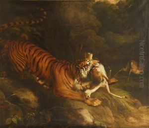 Tigre Cazando Un Gamo