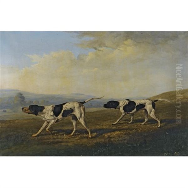 Two English Pointers Scenting Game - view 1