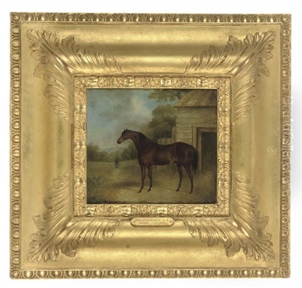 A Bay Horse Outside A Stable, In A Landscape - view 1