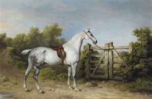 Sir Charles Mordaunt's Grey Hunter "piccolo" Tethered To A Gate by Philipp Reinagle