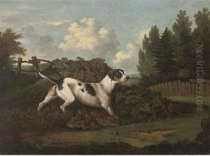 Portrait Of A Pointer Standing To Game