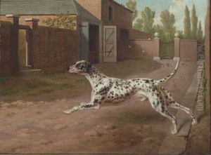 The Dalmation Or Coach Dog