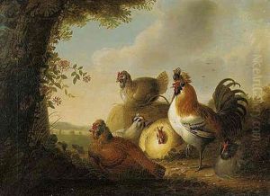 A Cockerel And Chickens In A Wooded Landscape