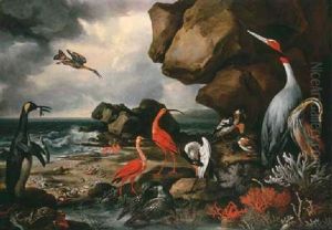 A Penguin, A Pair Of Flamingoes And Other Exotic Birds, Shells And Coral On The Shoreline