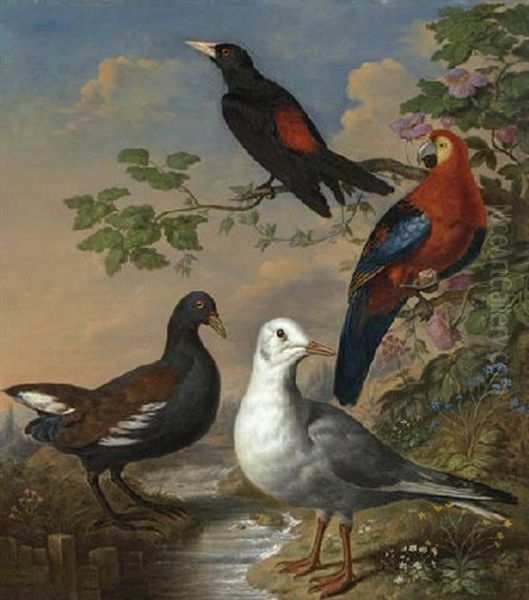 A Moorhen, A Gull, A Scarlet Macaw And A Red-rumped Cacique By A Stream In A Landscape - view 1