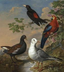 A Moorhen, A Gull, A Scarlet Macaw And A Red-rumped Cacique By A Stream In A Landscape by Philipp Reinagle
