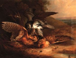A Peregrine Falcon Attacking A Bittern by Philipp Reinagle