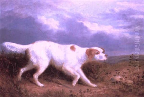 Setter On The Moor - view 1