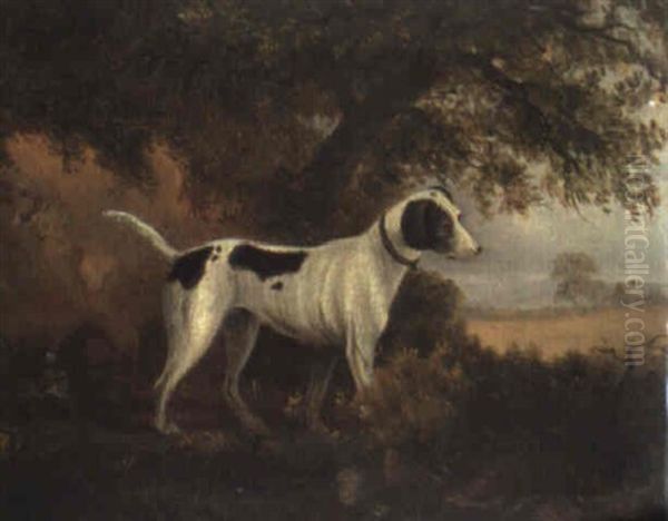 A Pointer In A Landscape by Philipp Reinagle